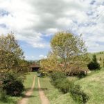 Da Cidade Para o Campo (parte 2) – Por Karina C. Deana 