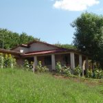 Nossa primeira casa no campo: Terra de Beulá - por Karina C. Deana