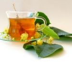 Fitoterapia: o papel das plantas na prevenção e cura das doenças - por Roger Oliveira