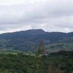 Porque Escolhemos o Campo - por Rute Bazan