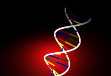 Exame de sangue promete revelar expectativa de vida do paciente