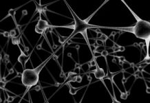 Levedo de cerveja: fonte de vitamina B e minerais