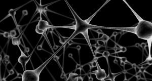 Levedo de cerveja: fonte de vitamina B e minerais