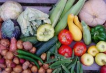 Grupos de alimentos para uma alimentação vegetariana