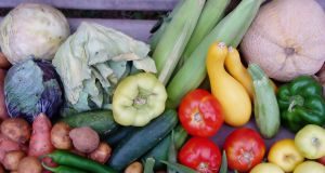 Grupos de alimentos para uma alimentação vegetariana