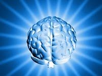 Flavonoides: Alimento para o Cérebro