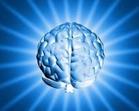 Flavonoides: Alimento para o Cérebro