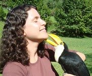 Pavê Vegetariano – sem ovo, leite e açucar