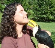 Pavê Vegetariano – sem ovo, leite e açucar