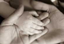 Esperma passa informações nutricionais no DNA