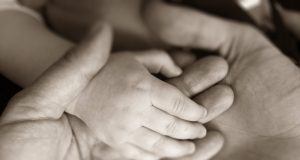 Esperma passa informações nutricionais no DNA