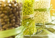 A importância das proteínas na alimentação vegetariana