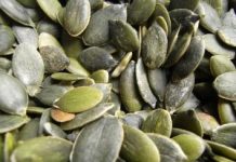 A importância da absorção do ferro na alimentação vegetariana