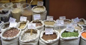 Onde adquirir os alimentos da nova dieta – por Andressa R. Rocha