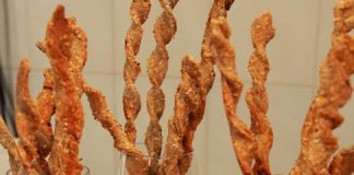 Pão em tiras com cebola e gergelim – passo a passo