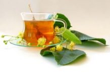 Fitoterapia: o papel das plantas na prevenção e cura das doenças