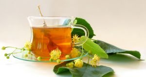 Fitoterapia: o papel das plantas na prevenção e cura das doenças