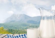 Intolerância à lactose – como indentificar e lidar com essa doença