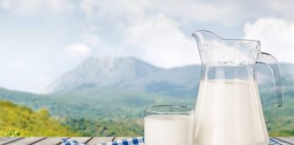 Intolerância à lactose – como indentificar e lidar com essa doença