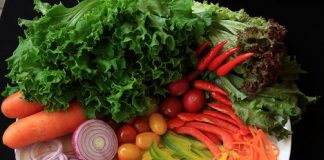 Como montar um prato vegetariano equilibrado