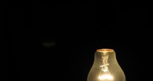 Sou radical, e você? – por Vanessa Rosa