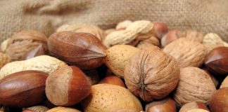 Proteína: como ter uma dieta saudável consumindo apenas proteínas vegetais – por Vanessa Rosa