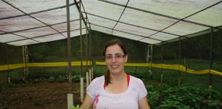 Testemunho: Saúde pela obediência a Deus