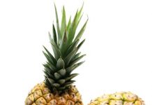 Aprender a gostar do que não se gosta