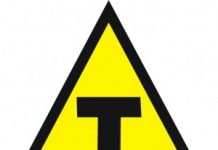 Mitos e verdades sobre soja transgênica