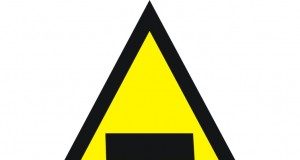 Mitos e verdades sobre soja transgênica