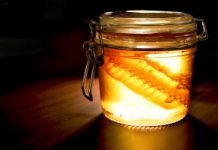 O Poder do Mel: Conheça seus benefícios