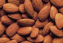 Substituto 100% vegetal e saudável para o leite materno