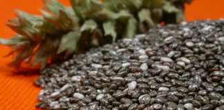 Sagu 100% natural de semente de chia