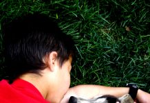 Como devemos tratar os animais?