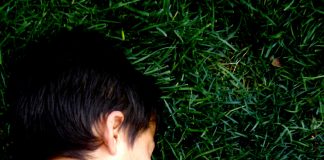 Como devemos tratar os animais?