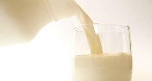 Leite um alimento indispensável?