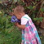 Parte 2: Como alimentar bem a família fora de casa – a saga continua!