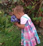 Parte 2: Como alimentar bem a família fora de casa – a saga continua!