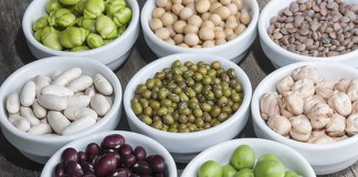 6 opções vegetais para substituir a proteína animal