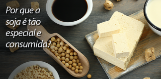 O mito da soja: ela é realmente boa para nosso corpo?