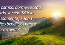 Os Benefícios do Contato com a Natureza (para saúde física, mental e espiritual)