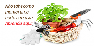 Dicas práticas de como montar uma horta