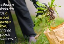 Arrancando o mal pela raiz