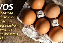 Por que os OVOS não são mais seguros para o consumo?